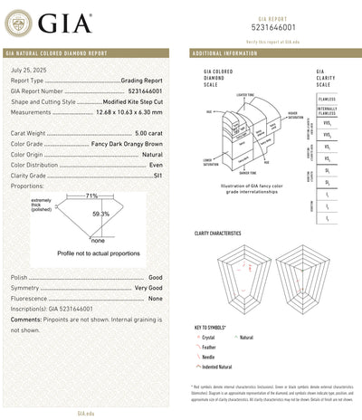 5.00ct Fancy Dark Orangy Brown Kite SI1 GIA