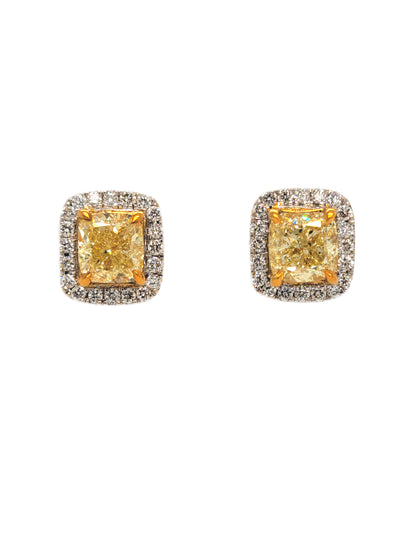 Yellow Cushion Cut Single Halo Earrings - Namdar Diamonds