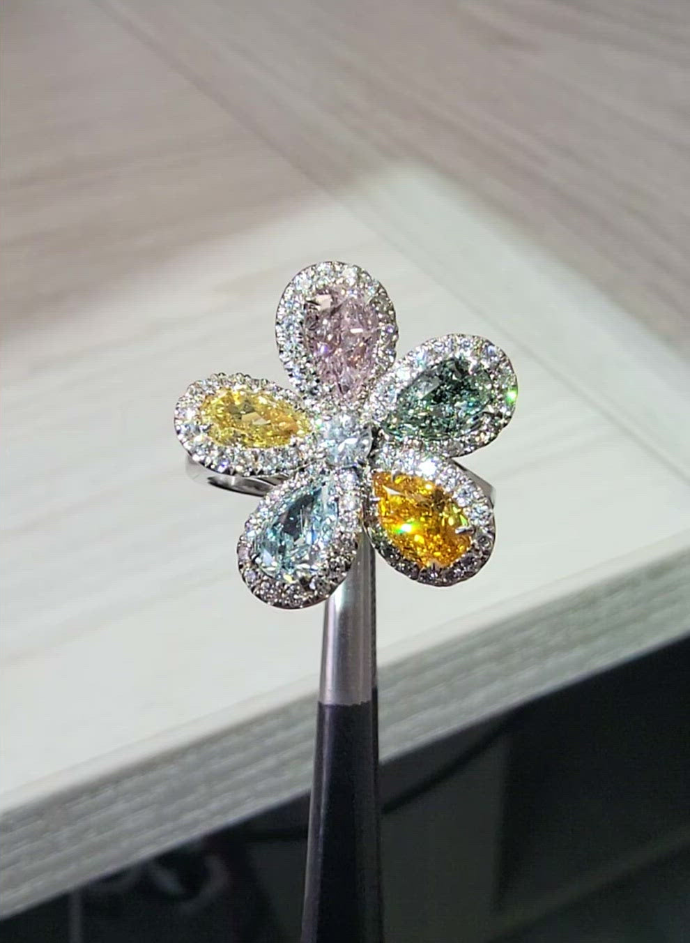 Fancy Color ‘Ora’ Flower